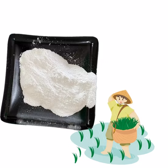 Direct Supply Anhydrous Magnesium Sulfate, High Quality and Low Price