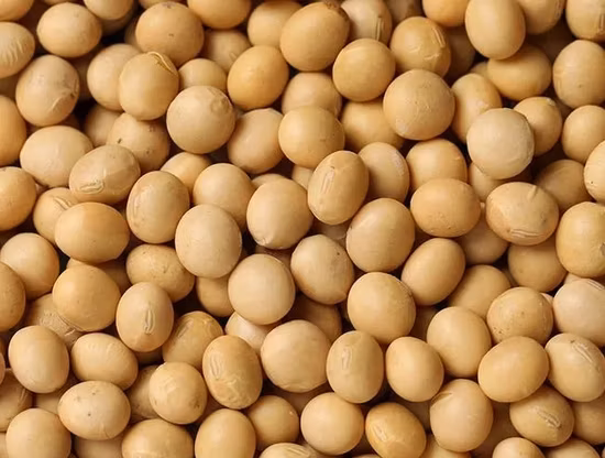 Solfato di magnesio eptaidrato per uso alimentare, sale Epsom, Laiyu China